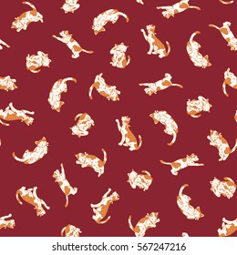 Pretty cat pattern