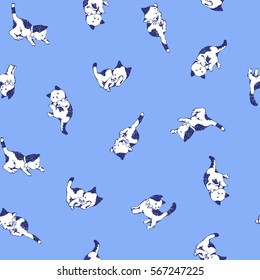 Pretty cat pattern