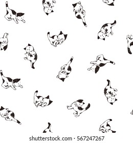 Pretty cat pattern