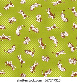 Pretty cat pattern