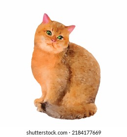 Pretty cat vector illustration on white background. Kitten picture. Cat cartoon style. Pet hand drawn. Feline. Pretty kitty watercolor art. Decor for greeting card, logo and design.