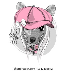 Pretty Chinese Crested  with pink hat and  scarf. Hand drawn illustration of dressed dog.  Vector illustration.