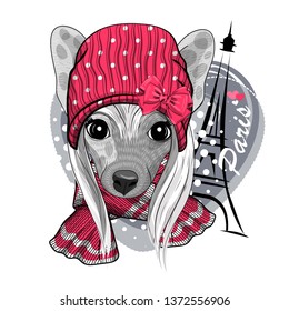 Pretty Chinese Crested  with red hat, red knitted scarf and Eiffel Tower . Hand drawn illustration of dressed dog.  Vector illustration.