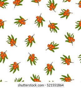 Pretty colorful seamless pattern made of hand drawn barberry and sandthorn twigs.