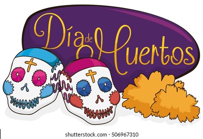 Pretty couple of sugar skulls with a marigold flowers and purple greeting sign celebrating "Dia de Muertos" (translate from Spanish: "Day of the Dead").