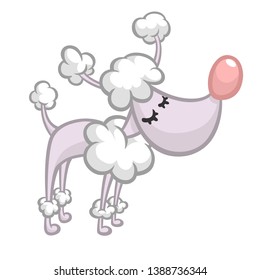Pretty and cute cartoon french poodle. Vector illustration