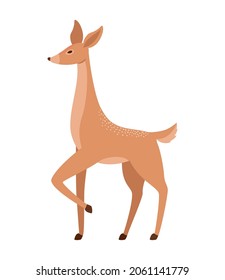 pretty deer design over white