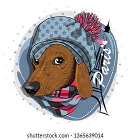Pretty dog with blue hat, checkered scarf and Eiffel Tower. Vector illustration of dressed dachshund in Paris.