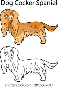 Pretty dog. Breed cocker spaniel. Funny animal isolated on white background. Linear, monochrome and colored version. Illustration can be used as symbol, for coloring book and pictures for children.