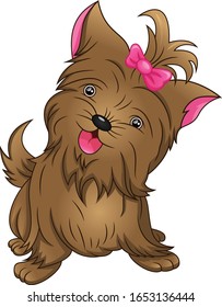 pretty dog Cartoon on white background
