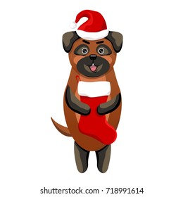 Pretty dog pug in Santa's hat and with red and white stocking in his paws. Christmas and New Year 2018. Festive vector illustration with animal symbol of the year in China, isolated. Sock for gifts