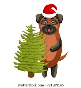 Pretty dog pug in Santa's hat and with a big furry christmas tree in the foot. Christmas and New Year 2018. Festive vector illustration with animal symbol of the year in China, isolated.
