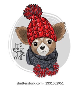 Hübscher Hund mit rotem Strickhut und grauem Strickschal. Handgezeichnete Illustration von gekleidetem Chihuahua. Vektorgrafik.