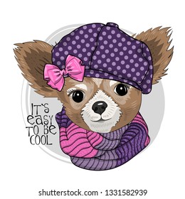 Pretty dog with violet hat, bow and knitted scarf . Hand drawn illustration of dressed chihuahua. Vector illustration.