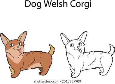 Pretty dog. Welsh corgi. Funny cute animal isolated on white background. Linear, monochrome and colored version. Illustration can be used as symbol, for coloring book and pictures for children.