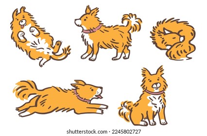 Pretty dogs. Vector illustration. Pets