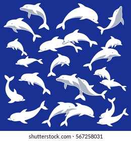 Pretty dolphin illustration