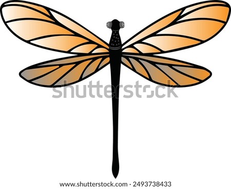 pretty dragonfly vector art and illustrator