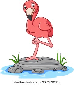 The pretty flamingo is standing with the one leg on the pond of illustration