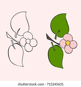Pretty flower.