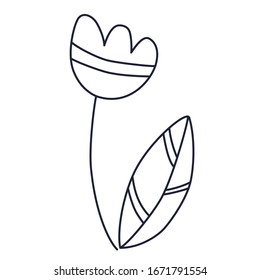 Pretty flower. Spring flower isolated on a white background. Vector illustration for wedding design, greeting card.