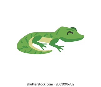 diseño bonito de gecko sobre blanco