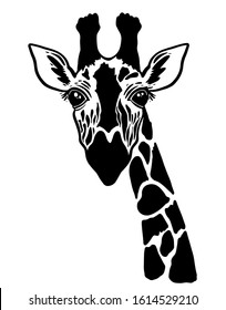 A pretty graphic giraffe. Hand drawn black and white giraffe. Sketch of the giraffe facial head. African giraffe poster for office