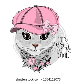 Pretty gray cat with pink bow, hat and gray scarf. Hand drawn illustration of dressed kitten.  Vector illustration.