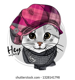 Pretty gray cat with pink checkered cap and gray knitted scarf. Hand drawn illustration of dressed cat. Vector illustration.
