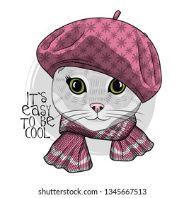 Pretty gray cat  with pink hat and pink knitted scarf. Hand drawn illustration of dressed kitten.  Vector illustration.