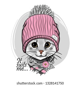 Pretty gray cat with pink knitted hat and gray  scarf. Hand drawn illustration of dressed cat. Vector illustration.