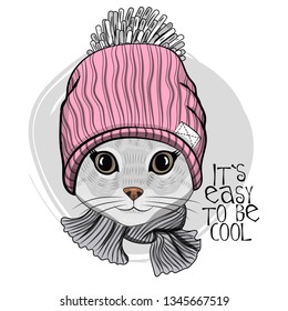 Pretty gray cat  with pink knitted hat and knitted scarf. Hand drawn illustration of dressed kitten.  Vector illustration.