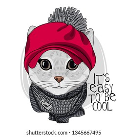 Pretty gray cat with red hat and gray knitted  scarf. Hand drawn illustration of dressed kitten.  Vector illustration.