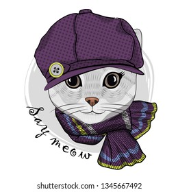 Pretty gray cat  with violet hat and violet knitted scarf. Hand drawn illustration of dressed kitten.  Vector illustration.