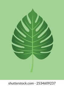 pretty green fueilles tropicals illustration