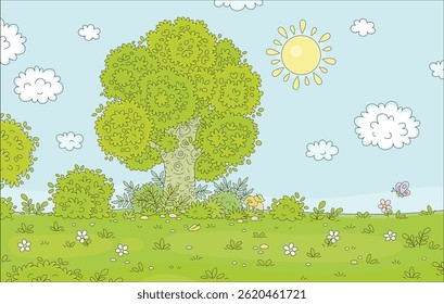 Pretty green meadow with a big branchy tree on an edge of a forest surrounded by bushes and flowers on a sunny summer day in countryside, vector cartoon illustration