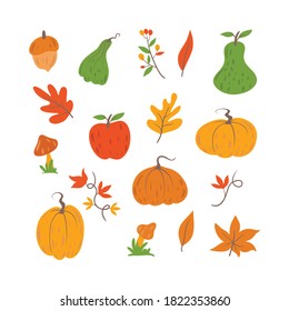 Pretty hand drawn Autumn Elements  Set. Fall Floral Clipart vector illustration