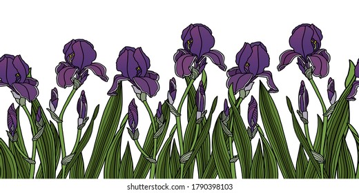 Pretty hand drawn seamless border in cute garden flowers of iris. Floral background for dress, home design, wallpaper, print or other.
