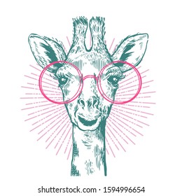 A pretty hipster giraffe. Hand drawn giraffe with glasses for poster. Sketch of the giraffe facial head with smile. Zoo animal for poster and paper