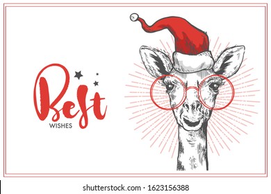 A pretty hipster giraffe. Hand drawn Christmas giraffe with glasses and Santa's hat. Sketch of the giraffe facial head with smile. Best wishes lettering. Christmas banner
