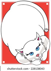 Pretty Kitty