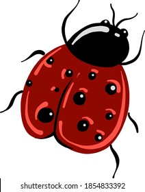 Pretty ladybug, illustration, vector on white background
