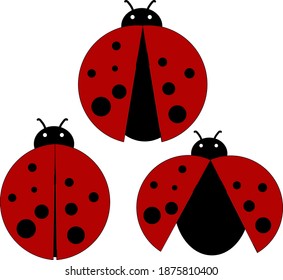 Pretty Ladybugs, illustration, vector on white background