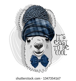 Pretty lama with blue checkered cap and   bow. Hand drawn illustration of dressed llama. Vector illustration.

