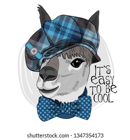 Pretty lama with blue checkered cap and  bow. Hand drawn illustration of dressed llama. Vector illustration.

