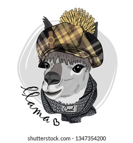 Pretty lama with checkered cap and knitted scarf. Hand drawn illustration of dressed llama. Vector illustration.

