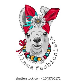 Pretty lama with flower, necklace and red turban. Hand drawn illustration of dressed llama. Vector illustration.