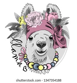 Pretty lama with flowers, necklace and pink turban. Hand drawn illustration of dressed llama. Vector illustration.
