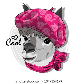 Pretty lama with pink hat and scarf. Hand drawn illustration of dressed llama. Vector illustration.

