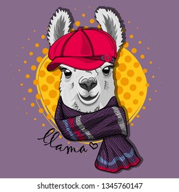 Pretty lama red hat and knitted scarf. Hand drawn illustration of dressed llama. Vector illustration.